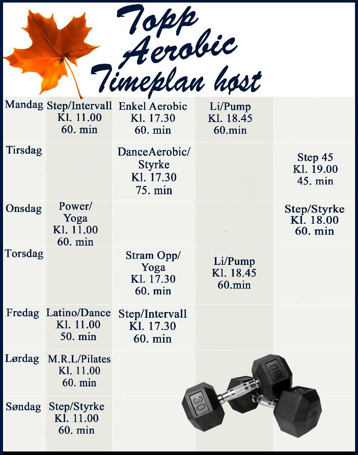 Timeplan 